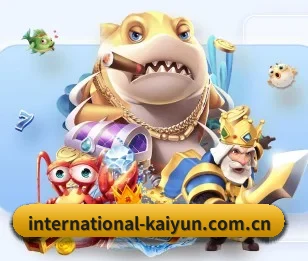 关于我们 - 体育资讯内容服务(kaiyun)